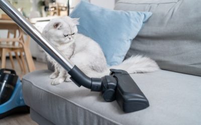 Cleaning Tips Every Pet Owner Should Know